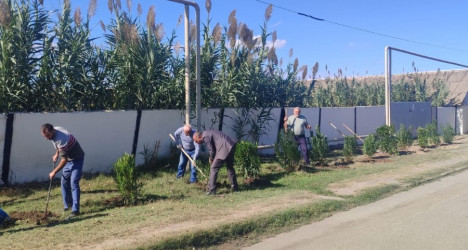 "Yaşıl dünya naminə həmrəylik ili" çərçivəsində  Qızılhacılı qəsəbəsində həyata keçirilən ağacəkmə aksiyasında fəal iştirak edən qəsəbə sakinləri də aksiyaya öz töhfələrini verirlər.