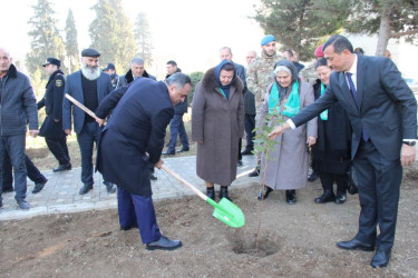 Goranboyda, “Heydər Əliyev ili” çərçivəsində, “Heydər Əliyev-100” adlı ağacəkmə aksiyası keçirildi.