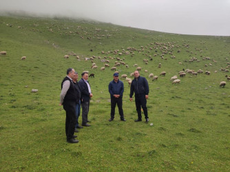 Goranboyda İcra Başçısı  Kəpəz  yaylağına köç etmiş qoyunçuluq təsərrüfatlarında oldu.