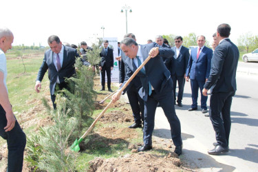 Goranboyda,  “Yaşıl dünya naminə həmrəylik ili” ilə bağlı, rayon İcra Hakimiyyətinin  Tədbirlər Planına uyğun olaraq, növbəti ağacəkmə aksiyası  təşkil olundu.