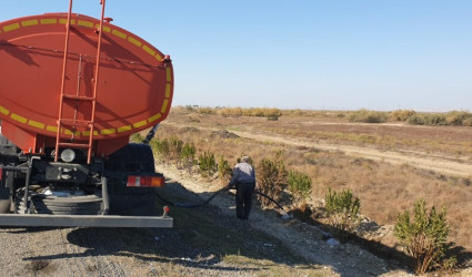 Goranboyda, "Yaşıl dünya naminə həmrəylik ili" ilə bağlı, yeni salınmış yaşıllıq zolaqlarına aqrotexniki qulluğun göstərilməsi işləri davam etdirilir.