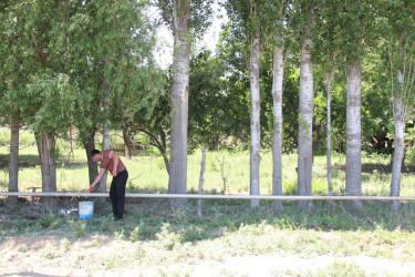 Goranboyda genişmiqyaslı abadlıq və yenidənqurma işləri davam etdirilir