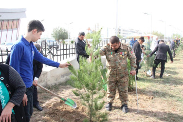 Goranboyda, “27 sentyabr – Anım Günü” ilə bağlı ağacəkmə aksiyası keçirildi.