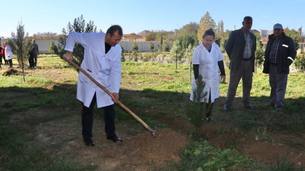 Goranboyda, Yaşıl dünya naminə həmrəylik ili və 8 noyabr Zəfər günü ilə bağlı,  “Təbiəti də sağaldaq” devizi altında ağacəkmə aksiyası keçirildi