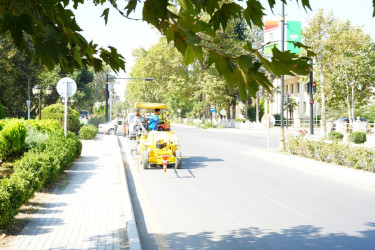 Goranboy avtomobil yollarında yol nişanlanması işləri aparılır