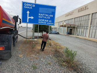 Goranboyda yol kənarında ağaclar suvarıldı, məişət tullantıları təmizləndi