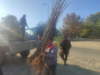 Goranboyda,   "Yaşıl dünya naminə həmrəylik ili" ilə bağlı, yeni yaşıllıq zolaqlarının salınması və mövcud infrastrukturun genişləndirilməsi işləri davam etdirilir.