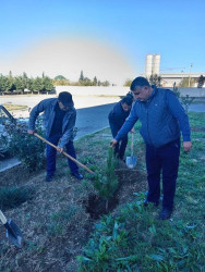 Goranboyda, Yaşıl dünya naminə həmrəylik ili və 8 noyabr Zəfər günü ilə bağlı,  “Təbiəti də sağaldaq” devizi altında ağacəkmə aksiyası keçirildi