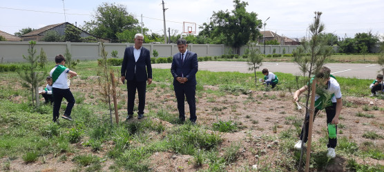 "Yaşıl dünya naminə həmrəylik ili" ilə bağlı Dəliməmmədli şəhər tam orta məktəbində tədbir keçirildi.