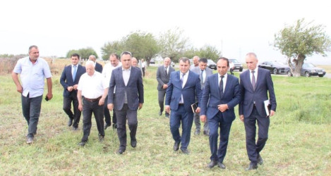 Goranboyda İcra Başçısı  pambıq sahələrində yığıma hazırlığın vəziyyəti ilə maraqlandı