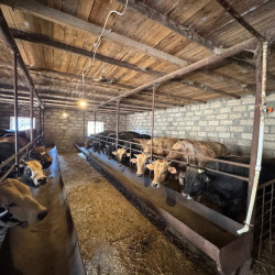 Goranboyda Dövlət Proqramının icrası çərçivəsində heyvandarlıq sahəsində maarifləndirici tədbir keçirildi