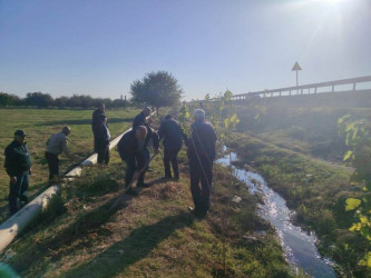 Goranboyda,   "Yaşıl dünya naminə həmrəylik ili" ilə bağlı, yeni yaşıllıq zolaqlarının salınması və mövcud infrastrukturun genişləndirilməsi işləri davam etdirilir.