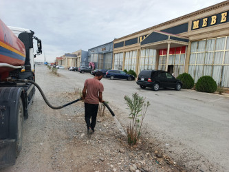 Goranboyda yol kənarında ağaclar suvarıldı, məişət tullantıları təmizləndi