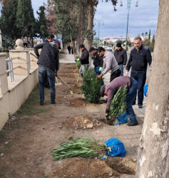 Goranboy  şəhərində,  "Yaşıl dünya naminə həmrəylik ili" çərçivəsində, növbəti ağacəkmə aksiyası həyata keçirildi.