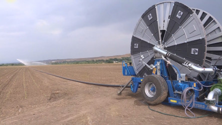 Goranboyda tütünün inkişaf sahəsi genişləndirilir