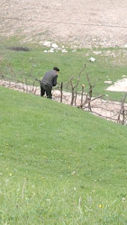 Goranboy rayonunda "Şəhərsalma və Memarlıq ili" çərçivəsində qanunsuz zəbt olunmuş torpaq sahələrindəki hasarların sökülməsi işləri davam etdirilir