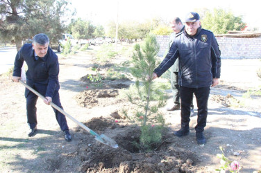 Goranboyda,  “8 noyabr Zəfər Günü” və  “Yaşıl dünya naminə həmrəylik ili“  ilə bağlı,  ağacəkmə aksiyası təşkil olundu