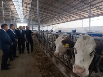 Goranboyda növbəti heyvandarlıq təsərrüfatına baxış keçirildi