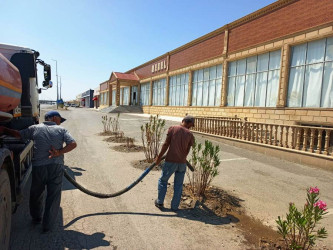 Goranboyda yeni salınmış yaşıllıq zolaqlarına aqrotexniki qulluq işləri davam etdirilir. Bu məqsədlə, ağacların növbəti suvarılması işləri görülür.