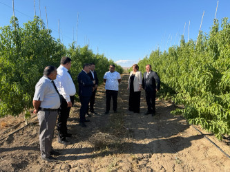 Goranboy rayonunun Fəxralı kəndində 2026–2030-cu illər üçün Dövlət Proqramının icrası ilə bağlı marifləndirici görüş keçirildi