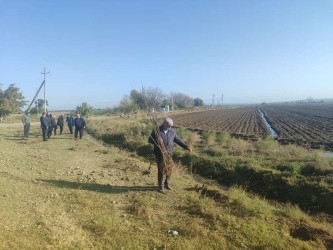 Goranboyda,   "Yaşıl dünya naminə həmrəylik ili" ilə bağlı, yeni yaşıllıq zolaqlarının salınması və mövcud infrastrukturun genişləndirilməsi işləri davam etdirilir.