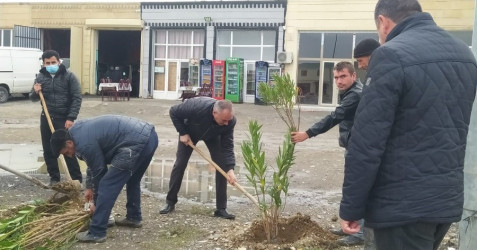 "Yaşıl dünya naminə həmrəylik ili" çərçivəsində, Goran qəsəbəsi ərazisində növbəti ağac əkini işləri həyata keçirildi.