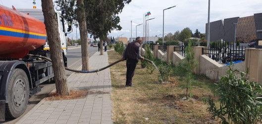 Goranboyda, “27 sentyabr – Anım Günü” ilə bağlı ağacəkmə aksiyası keçirildi.