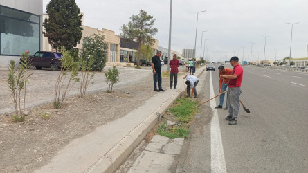 Goranboyda yol kənarında ağaclar suvarıldı, məişət tullantıları təmizləndi