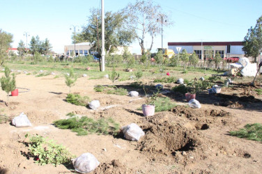 Goranboyda,  “8 noyabr Zəfər Günü” və  “Yaşıl dünya naminə həmrəylik ili“  ilə bağlı,  ağacəkmə aksiyası təşkil olundu