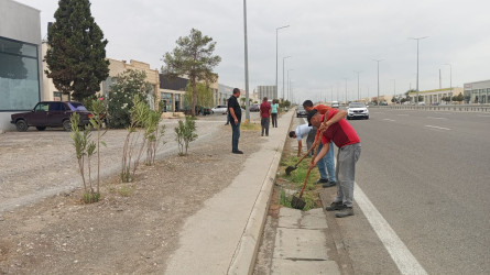 Goranboyda yol kənarında ağaclar suvarıldı, məişət tullantıları təmizləndi