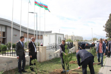 Goranboyda, “27 sentyabr – Anım Günü” ilə bağlı ağacəkmə aksiyası keçirildi.