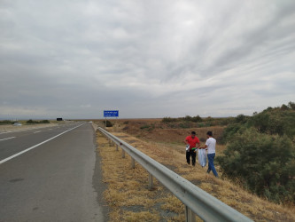 Goranboyda yol kənarında ağaclar suvarıldı, məişət tullantıları təmizləndi