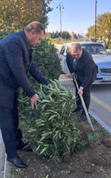 Goranboy  şəhərində,  "Yaşıl dünya naminə həmrəylik ili" çərçivəsində, növbəti ağacəkmə aksiyası həyata keçirildi.