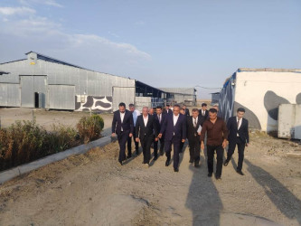 Goranboyda Dövlət Proqramının icrası ilə bağlı layihələr təhlil olunur