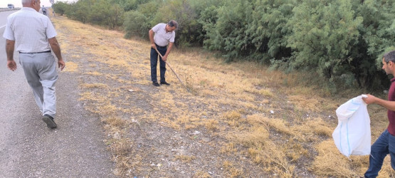 Goranboyda yol kənarında ağaclar suvarıldı, məişət tullantıları təmizləndi