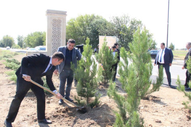 Goranboyda  “27 sentyabr –Anım Günü” ilə bağlı ağacəkmə aksiyası keçirildi
