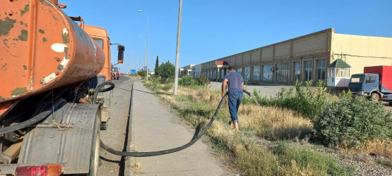 Goranboyda yeni salınmış yaşıllıq zolaqlarına aqrotexniki qulluq işləri davam etdirilir