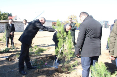 Goranboyda,  “8 noyabr Zəfər Günü” və  “Yaşıl dünya naminə həmrəylik ili“  ilə bağlı,  ağacəkmə aksiyası təşkil olundu