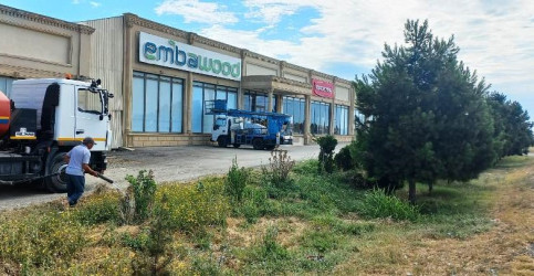 Goranboyda yeni salınmış yaşıllıq zolaqlarına aqrotexniki qulluğun göstərilməsi işləri davam etdirilir