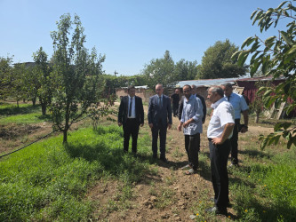 Goranboyda Dövlət Proqramının icrası çərçivəsində müasir suvarma sistemlərinin tətbiqi mövzusunda maarifləndirici görüş keçirildi