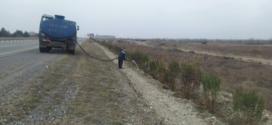 Goranboyda, "Yaşıl dünya naminə həmrəylik ili" ilə bağlı, yeni salınmış yaşıllıq zolaqlarına aqrotexniki qulluq işləri davam etdirilir.