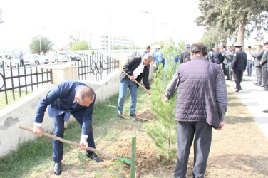 Goranboyda, “27 sentyabr – Anım Günü” ilə bağlı ağacəkmə aksiyası keçirildi.