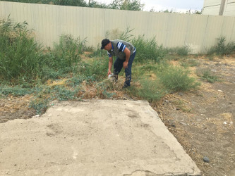 Goranboyda yol kənarında ağaclar suvarıldı, məişət tullantıları təmizləndi