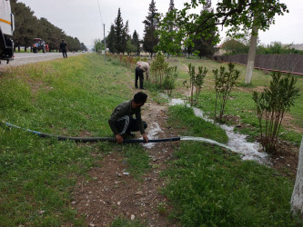 Goranboyda növbəti iməcilik keçirildi,  yolətrafı ərazilərdə abadlıq, təmizlik işləri aparıldı, yeni salınmış yaşıllıq zolaqlarına aqrotexniki qulluq göstərildi