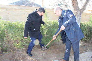 “2023-cü il-Heydər Əliyev ili”  ilə bağlı,  Goranboy şəhərində  ağacəkmə aksiyası keçirildi.