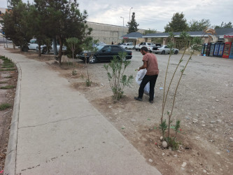Goranboyda yol kənarında ağaclar suvarıldı, məişət tullantıları təmizləndi