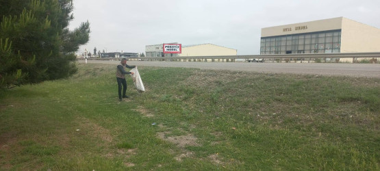 Goranboyda növbəti iməcilik keçirildi,  yolətrafı ərazilərdə abadlıq, təmizlik işləri aparıldı, yeni salınmış yaşıllıq zolaqlarına aqrotexniki qulluq göstərildi