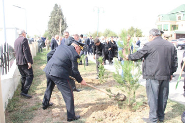 Goranboyda, “27 sentyabr – Anım Günü” ilə bağlı ağacəkmə aksiyası keçirildi.