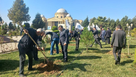 Goranboyda  “2023-cü il-Heydər Əliyev ili” ilə bağlı, keçirilən tədbirlər çərçivəsində növbəti ağacəkmə aksiyası keçirildi.