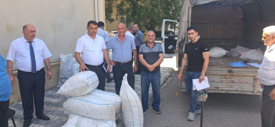 Goranboyda yaş barama tədarükü uğurla davam edir